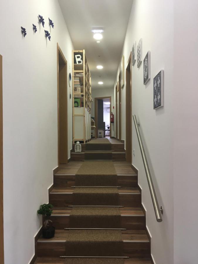 Barao Guesthouse Vouzela Zewnętrze zdjęcie